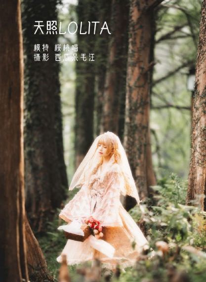 高清视频一区_全集高清在线观看